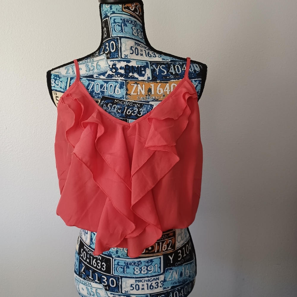 American rag crop top